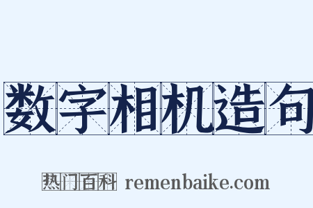 数字相机造句是什么意思的图片